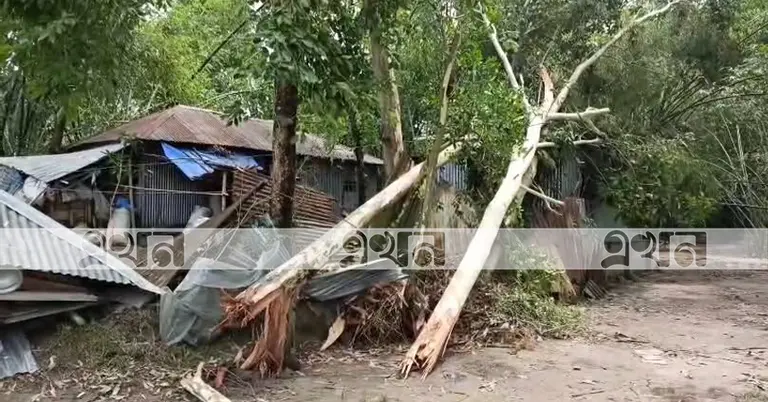 কালবৈশাখী ঝড়ে ক্ষতিগ্রস্ত ঘরবাড়ি